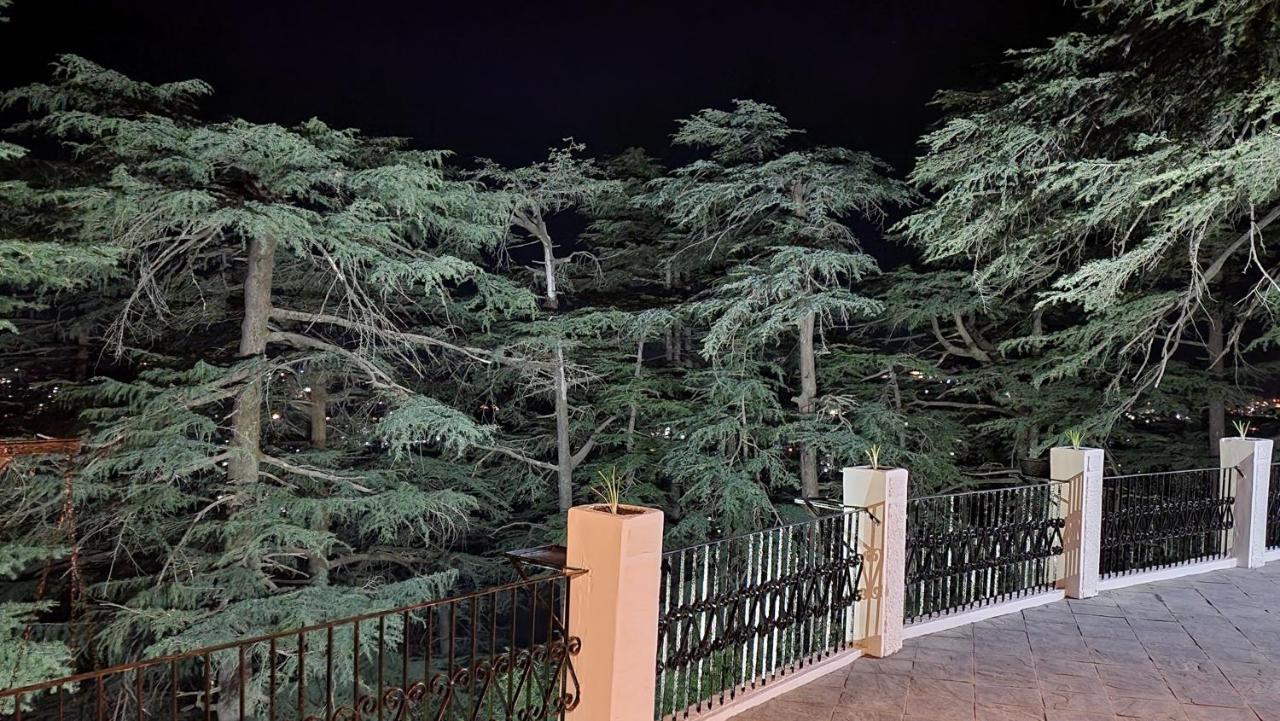 Glen View Heritage Homestay Шимла Екстериор снимка