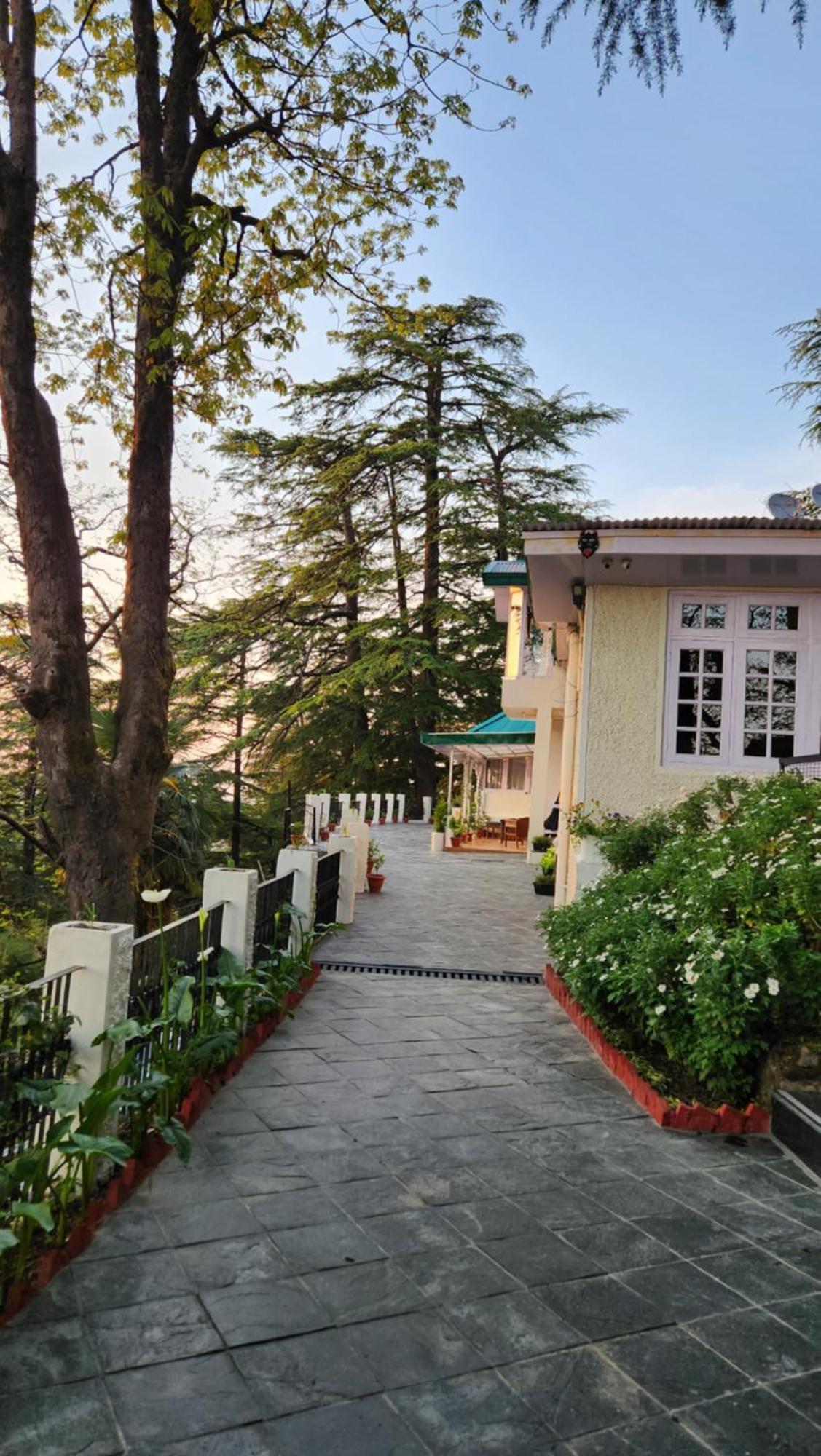 Glen View Heritage Homestay Шимла Екстериор снимка